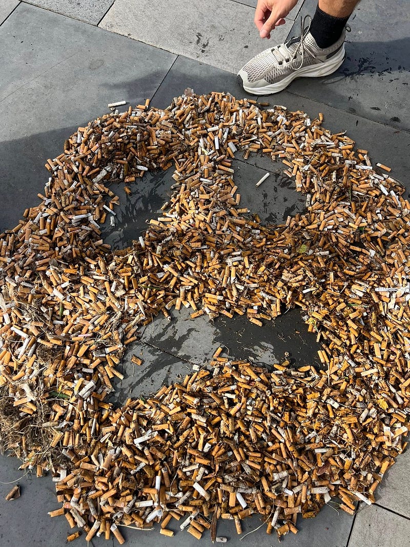 Cigarette butts, cleanups, and community: The Trash Traveler in Madeira