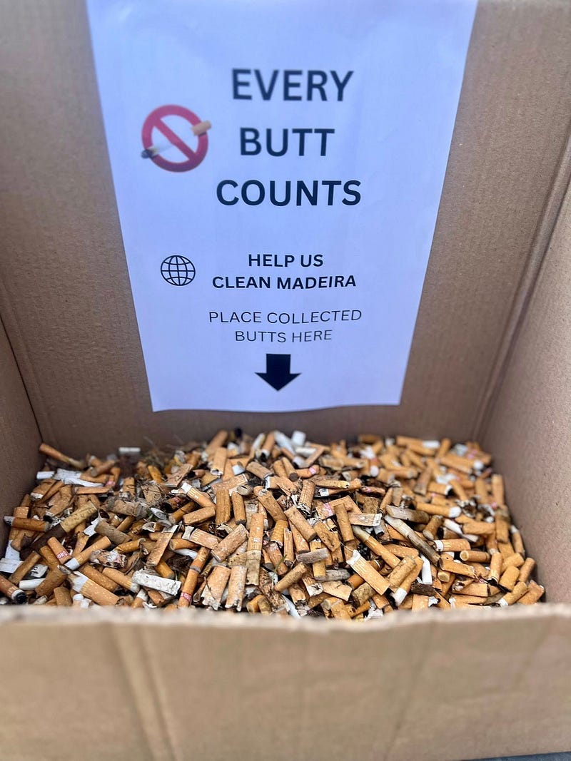 Cigarette butts, cleanups, and community: The Trash Traveler in Madeira