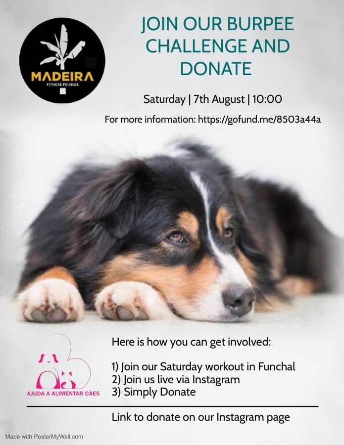 Madeira Friends host fundraiser for a non-profit animal association