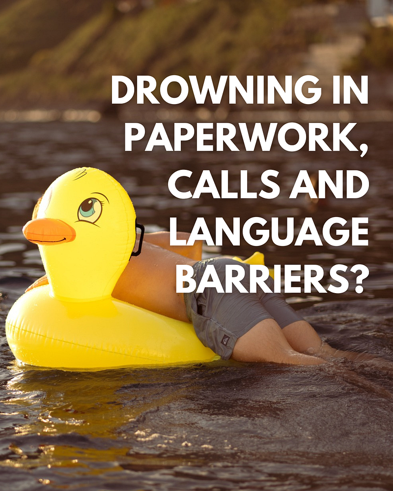 How Madeira Concierge became the go-to support for internationals on the island