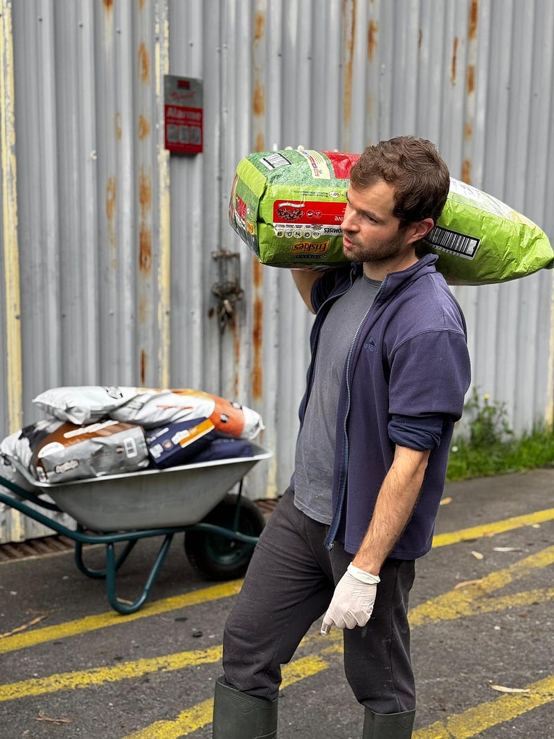 Madeira Friends Donates Pet Supplies to Shelters For Christmas 2024