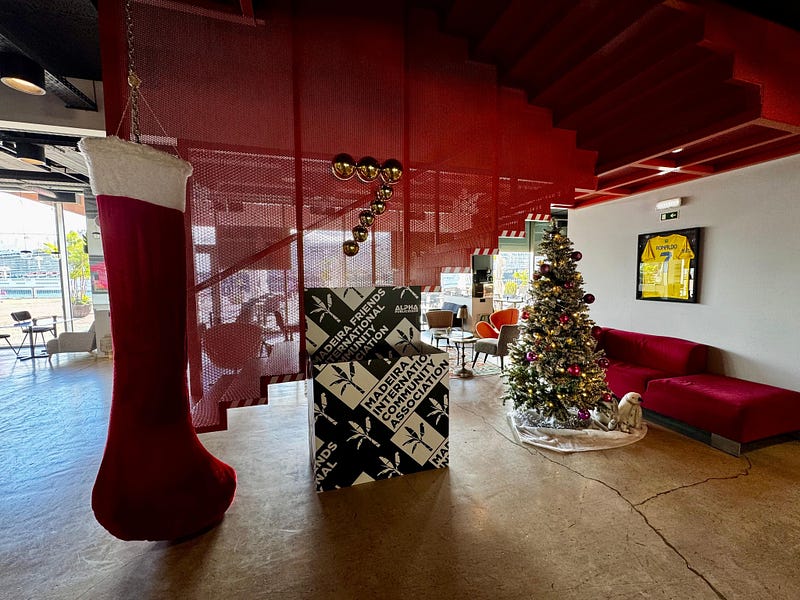 Madeira Friends Donates Pet Supplies to Shelters For Christmas 2024