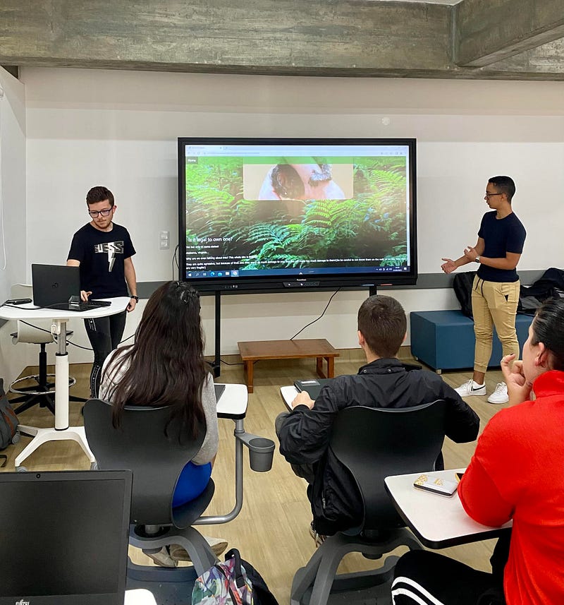 Madeira Friends Launch a Pilot Project for Schools — Giving Back Through Digital Skills