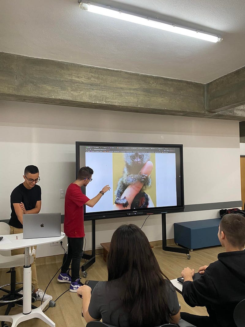 Madeira Friends Launch a Pilot Project for Schools — Giving Back Through Digital Skills