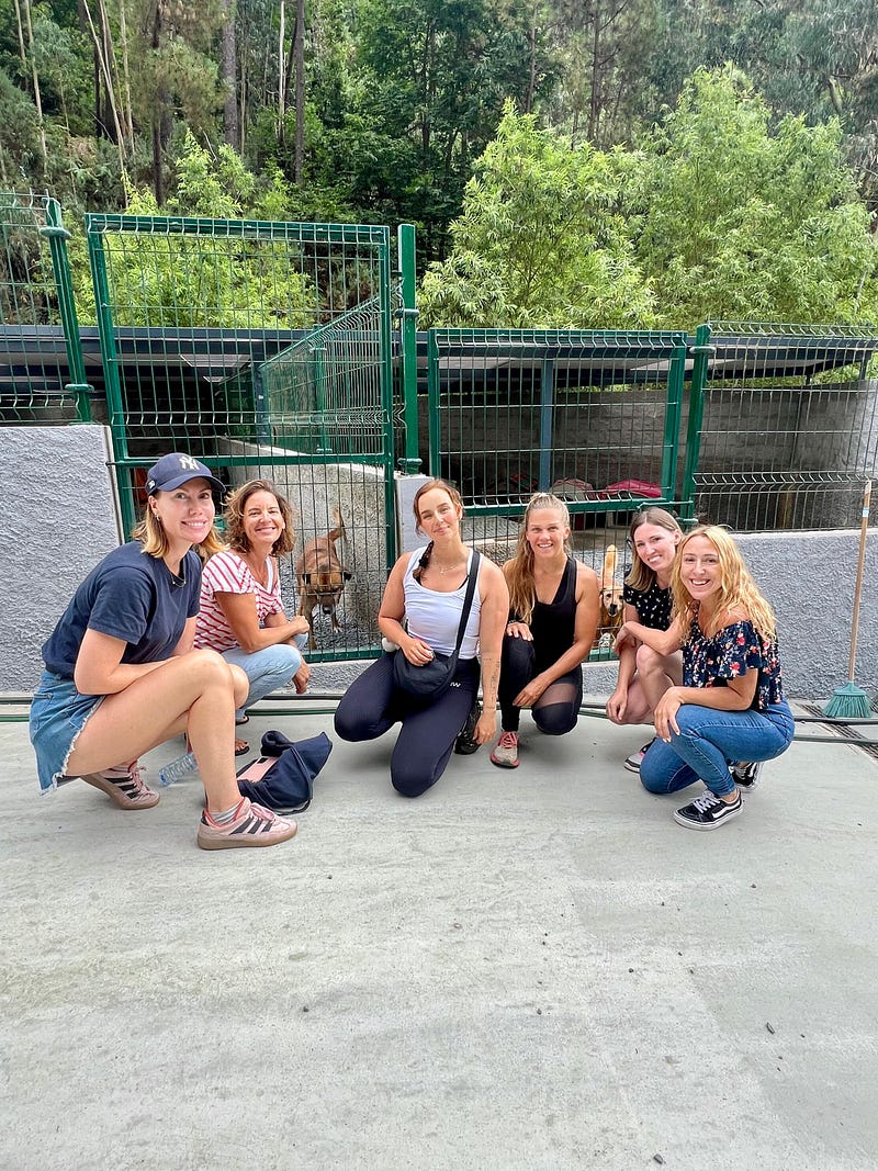 Madeira Friends visit Funchal Kennel 🐾