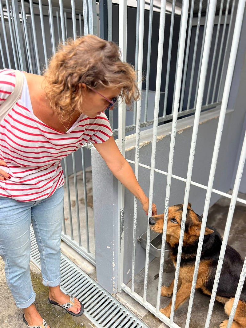 Madeira Friends visit Funchal Kennel 🐾
